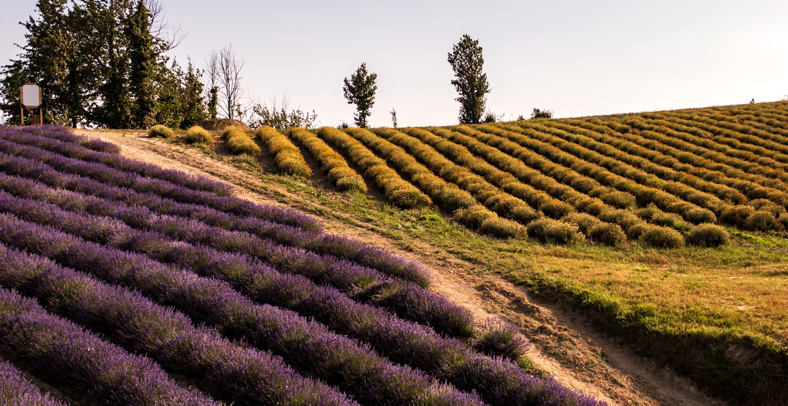 Terre autentiche_gallery_10